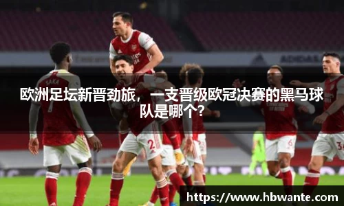 bsports官方网站