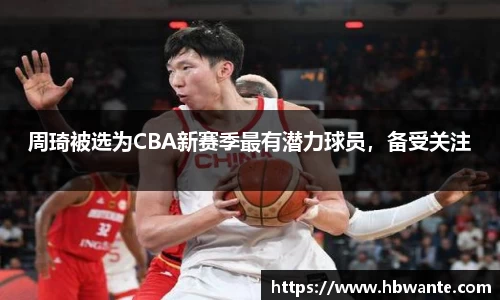 必一bsports