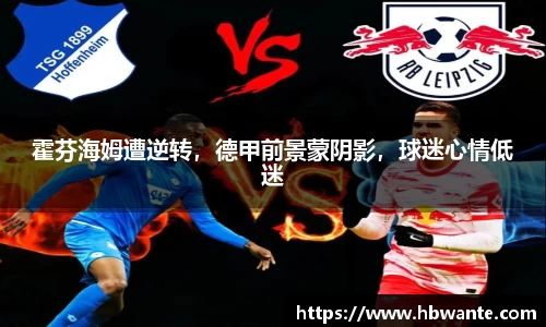 bsports体育