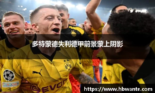 必一bsports