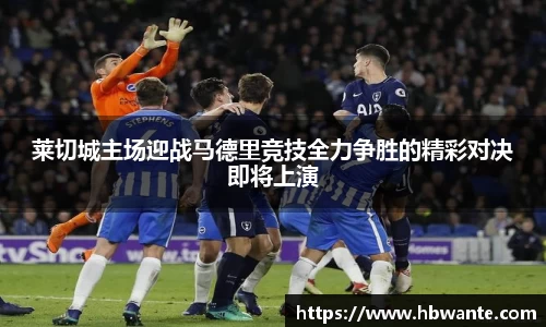 bsports体育